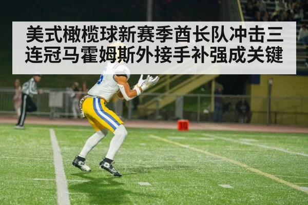 American football wide receiver