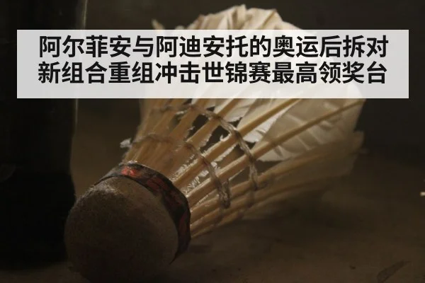 阿尔菲安与阿迪安托的奥运后拆对 新组合重组冲击世锦赛最高领奖台