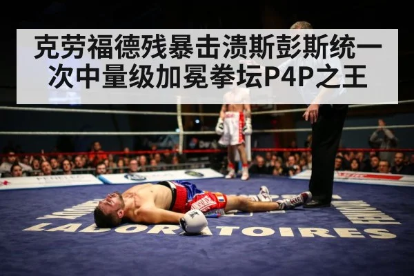 boxer knockout