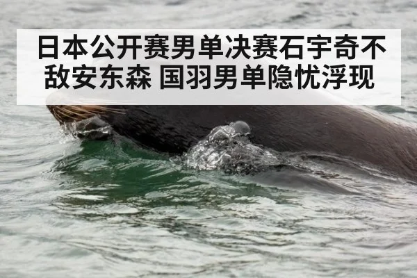 日本公开赛男单决赛石宇奇不敌安东森 国羽男单隐忧浮现